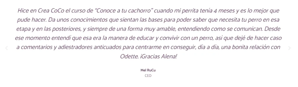 testimonio academia de cachorros