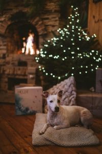 Un salón con chimenea y árbol de navidad con un perro tumbado