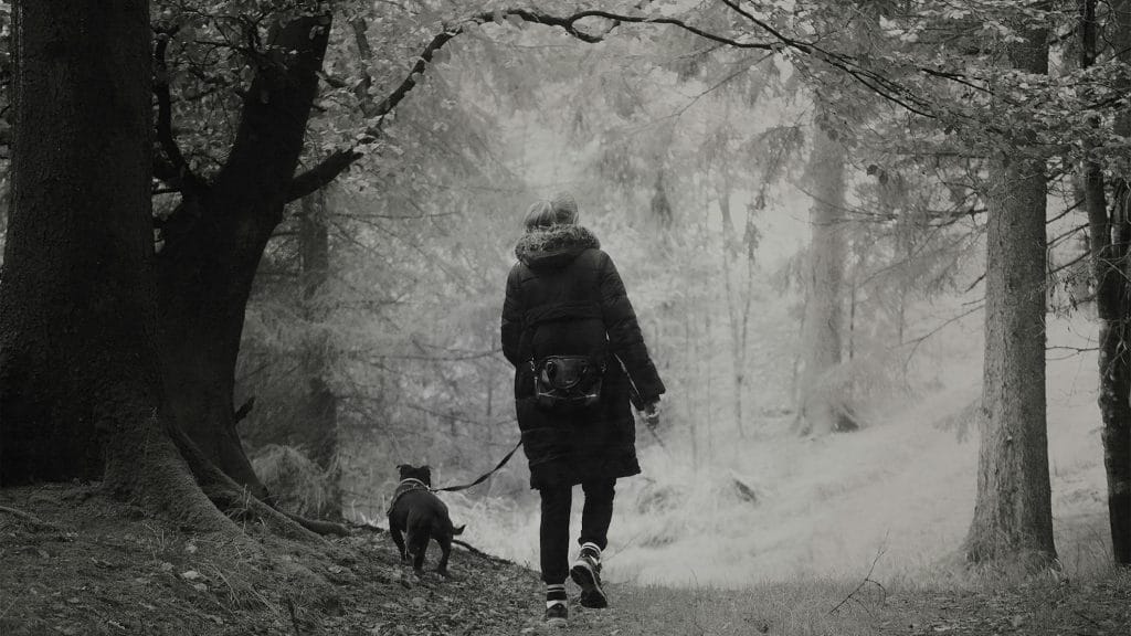 persona paseando a su perro en un bosque invernal