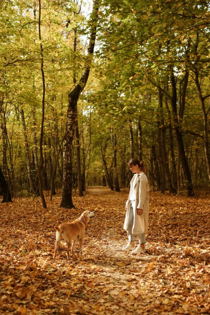 una persona paseando con su perro en el bosque